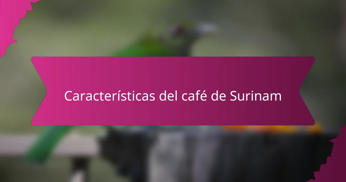 Características del café de Surinam